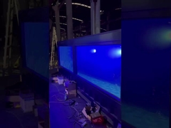 উচ্চ মানের চাইনিজ ফ্যাক্টরি আউটলেট মডুলার প্রিফ্যাব্রিকেটেড শিপিং কন্টেইনার সুইমিং পুল