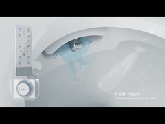 সহজ ইনস্টলেশন স্যানিটারি ওয়্যার বন্ধ স্টুল বাটি গরম টয়লেট